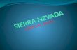 Sierra Nevada Power