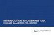 Introduction to CaseWare IDEA - Designed by Auditors for Auditors