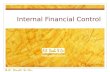 Internal financial control