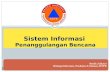 Sistem informasi bnpb