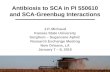 Antibiosis to SCA in Pl 550610 and SCA-Greenbug Interactions