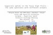 Sugarcane aphids on the Texas High Plains - The same questions with different answers
