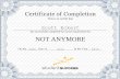 Eckert_Scott_Not Anymore certificate