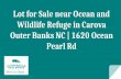 Lot for Sale near Ocean and Wildlife Refuge in Carova Outer Banks NC | 1620 Ocean Pearl Rd