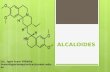 Clase 22 alcaloides generalidades