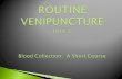 Blood Collection Routine Venipuncture