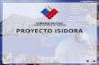 Proyecto isidora