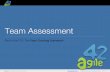 agile42 TCF Team Assessment