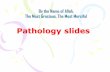 Basic Pathology lab slides