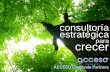 ACCESO Corporate Partners - Consultoría Estratégica