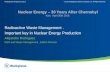 Міжнародна конференція Асоціації УЯФ "Атомна енергетика: 30 років після Чорнобиля". Виступ Алехандро