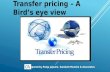 Transfer pricing a bird's eye view