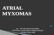 Atrial Myxoma