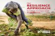Mercy Corps Resilience Approach_Digital Final