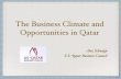 Business Opportunity in Qatar - Presentation