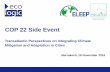 ELEEP COP 22 Side Event