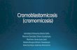 Cromoblastomicosis mod 1