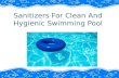 Chemicals for clean and hygienic swimming pool