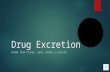 Drug Excretion
