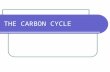 PowerPoint Presentation - THE CARBON CYCLE