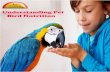 Understanding Pet Bird Nutrition