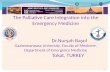 Palliative Care Integration into the Emergency Medicine