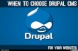 When to choose Drupal CMS
