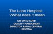 The lean hospital what is mean