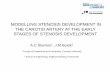 MODELLING STENOSIS DEVELOPMENT IN THE CAROTID ARTERY AT THE EARLY STAGES OF STENOSIS DEVELOPMENT (3)