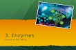 AS Level Biology - 3) Enzymes