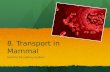 AS Level Biology - 8) Transport in Mammals