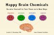 Happy brain chemicals: Dopamine, Serotonin, Oxytocin and Endorphin