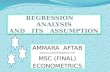 regression assumption by Ammara Aftab