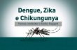 Slide zika