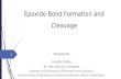 Epoxide bond formation and cleavage