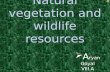 Natural vegetation and resources