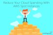 Reduce Your Cloud Spending With AWS Spot Instances