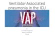 Ventilator associated pneumonia in the icu