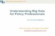 Understanding Big Data for policy professionals