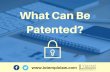 What Can Be Patented?