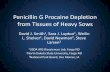 Penicillin G Procaine Depletion from Tissues of Heavy Sows