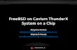 FreeBSD on Cavium ThunderX System on a Chip