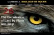 Biology in Focus - Chapter 26