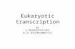 Eukaryotic transcription