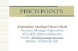 Pinch point eng