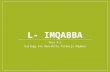 L-Imqabba - Yr 4.1
