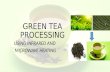 Green tea processing