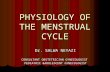 Physiology of The Menstrual Cycle