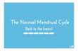 Physiology of Menstrual Cycle