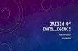 Organizational behavior presentation - Origins of Intelligence